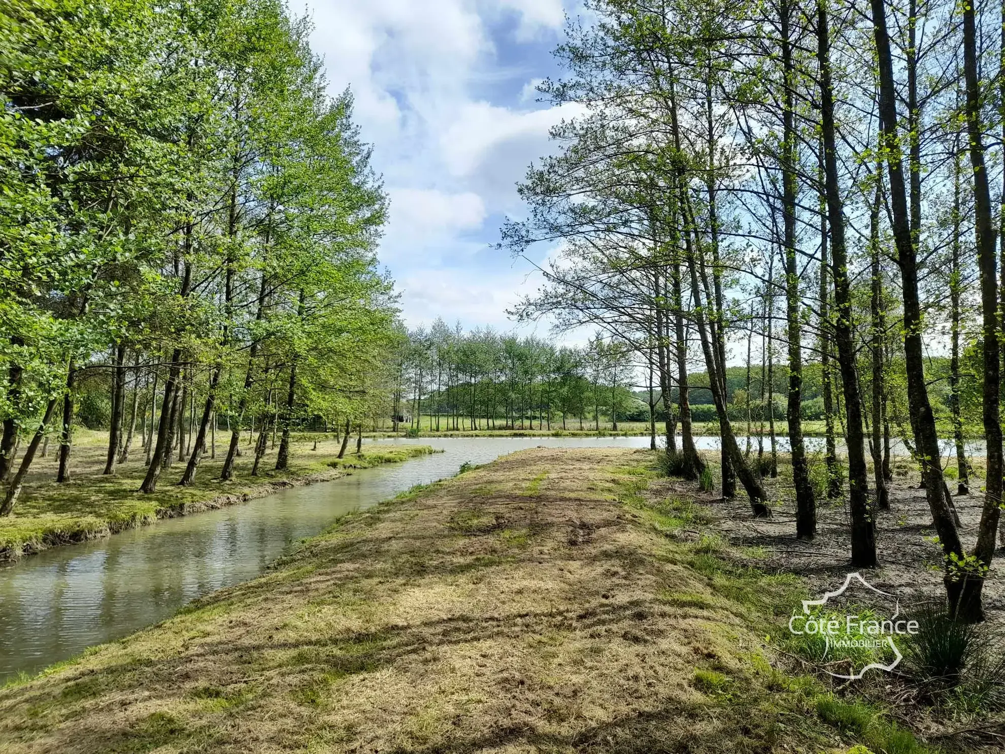 Propriété de 2 hectares avec étang, chalet et ruisseau à Glageon - Idéal pour chasse et pêche 
