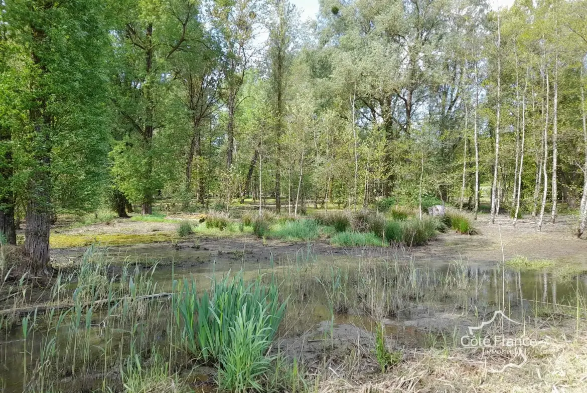 Propriété de 2 hectares avec étang, chalet et ruisseau à Glageon - Idéal pour chasse et pêche 