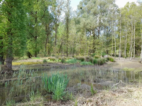 Propriété de 2 hectares avec étang, chalet et ruisseau à Glageon - Idéal pour chasse et pêche 