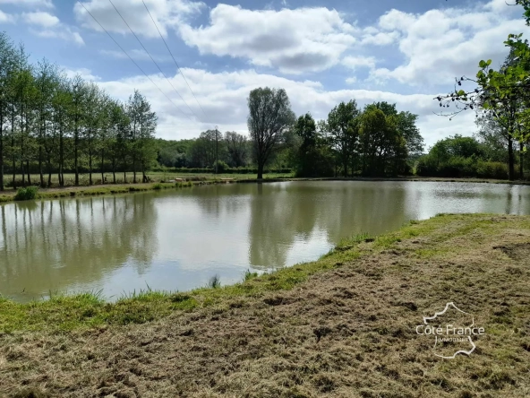 Propriété de 2 hectares avec étang, chalet et ruisseau à Glageon - Idéal pour chasse et pêche 