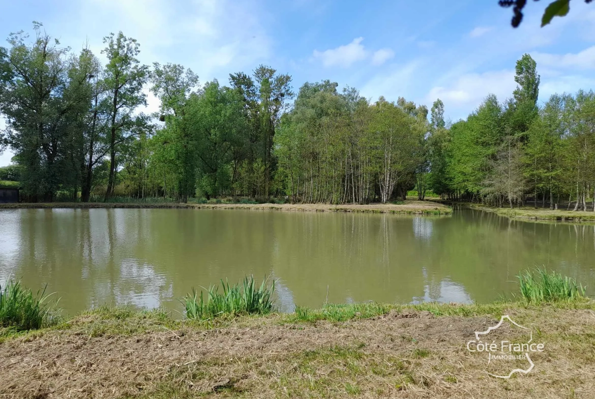 Propriété de 2 hectares avec étang, chalet et ruisseau à Glageon - Idéal pour chasse et pêche 