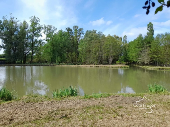 Propriété de 2 hectares avec étang, chalet et ruisseau à Glageon - Idéal pour chasse et pêche 