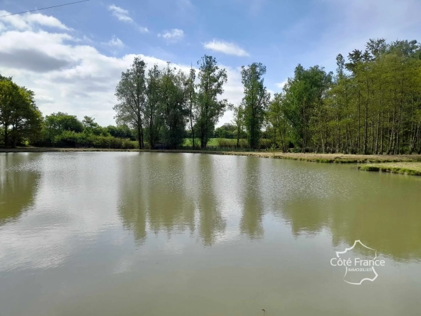 Propriété de 2 hectares avec étang, chalet et ruisseau à Glageon - Idéal pour chasse et pêche 