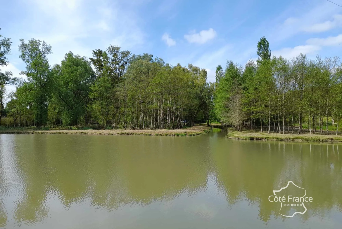 Propriété de 2 hectares avec étang, chalet et ruisseau à Glageon - Idéal pour chasse et pêche 