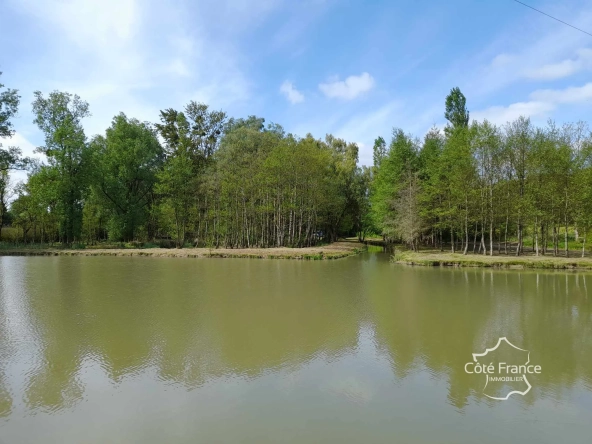 Propriété de 2 hectares avec étang, chalet et ruisseau à Glageon - Idéal pour chasse et pêche 