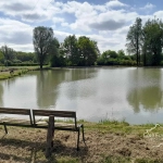Propriété de 2 hectares avec étang, chalet et ruisseau à Glageon - Idéal pour chasse et pêche