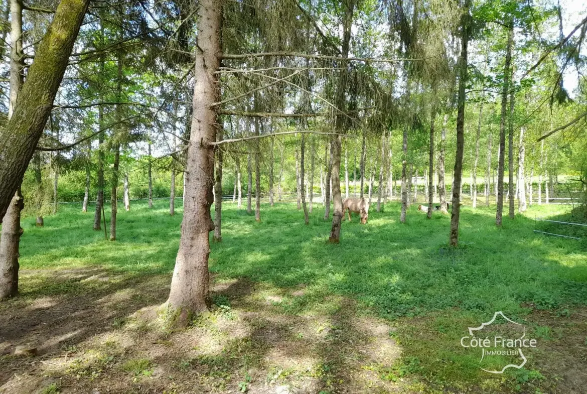 Propriété de 2 hectares avec étang, chalet et ruisseau à Glageon - Idéal pour chasse et pêche 