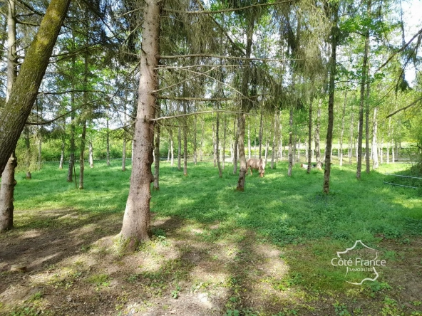 Propriété de 2 hectares avec étang, chalet et ruisseau à Glageon - Idéal pour chasse et pêche 