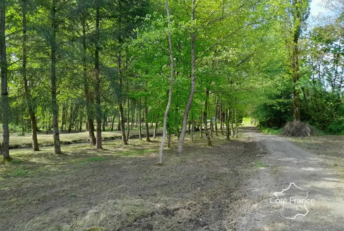 Propriété de 2 hectares avec étang, chalet et ruisseau à Glageon - Idéal pour chasse et pêche 