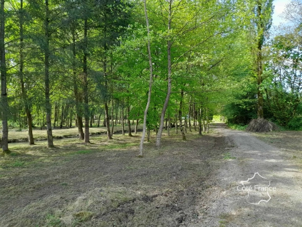 Propriété de 2 hectares avec étang, chalet et ruisseau à Glageon - Idéal pour chasse et pêche 