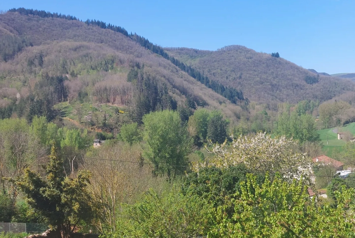 Charmante maison de village avec terrain et vue campagne à Fayet 