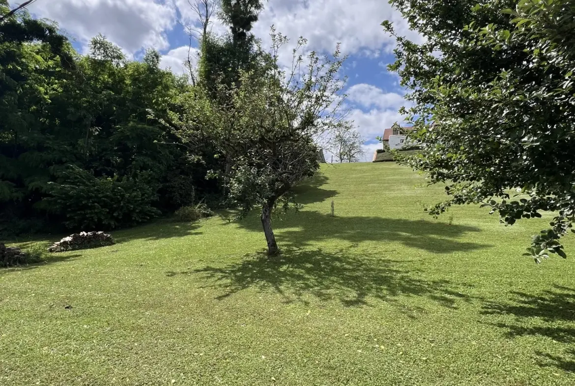 Terrain constructible de 1015 m² à Saint-Satur - Emplacement stratégique et viabilisé 