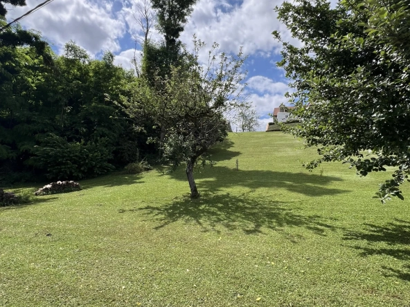 Terrain constructible de 1015 m² à Saint-Satur - Emplacement stratégique et viabilisé
