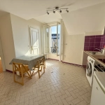Appartement 2 pièces à Palaiseau proche gare et écoles avec jardin
