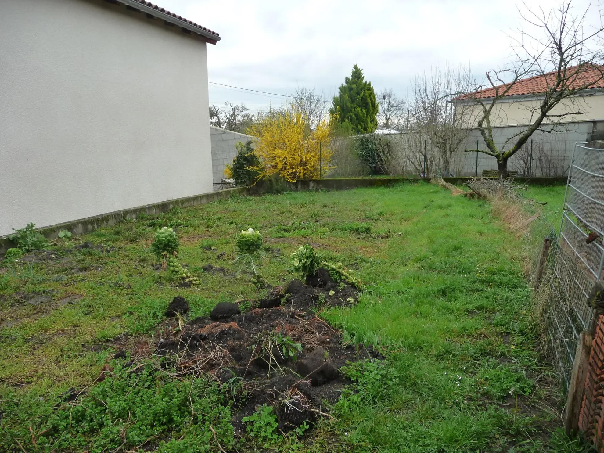 Magnifique maison familiale de 149 m2 à Saint Romain le Puy avec dépendances et jardin 