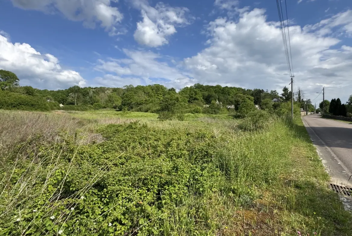 Terrain à bâtir de 8 206 m2 à L’Isle-sur-Serein, idéal pour votre projet de construction 
