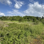 Terrain à bâtir de 8 206 m2 à L’Isle-sur-Serein, idéal pour votre projet de construction