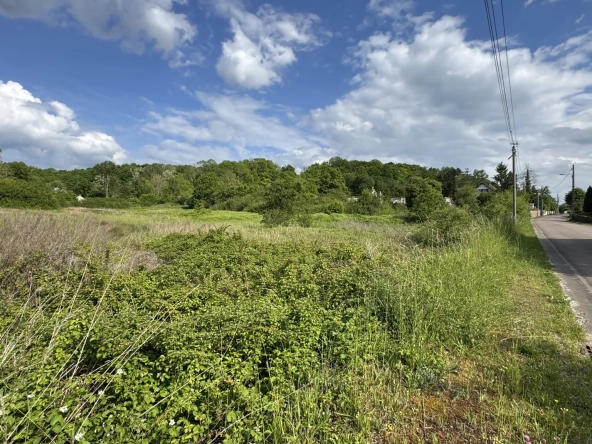 Terrain à bâtir de 8 206 m2 à L’Isle-sur-Serein, idéal pour votre projet de construction