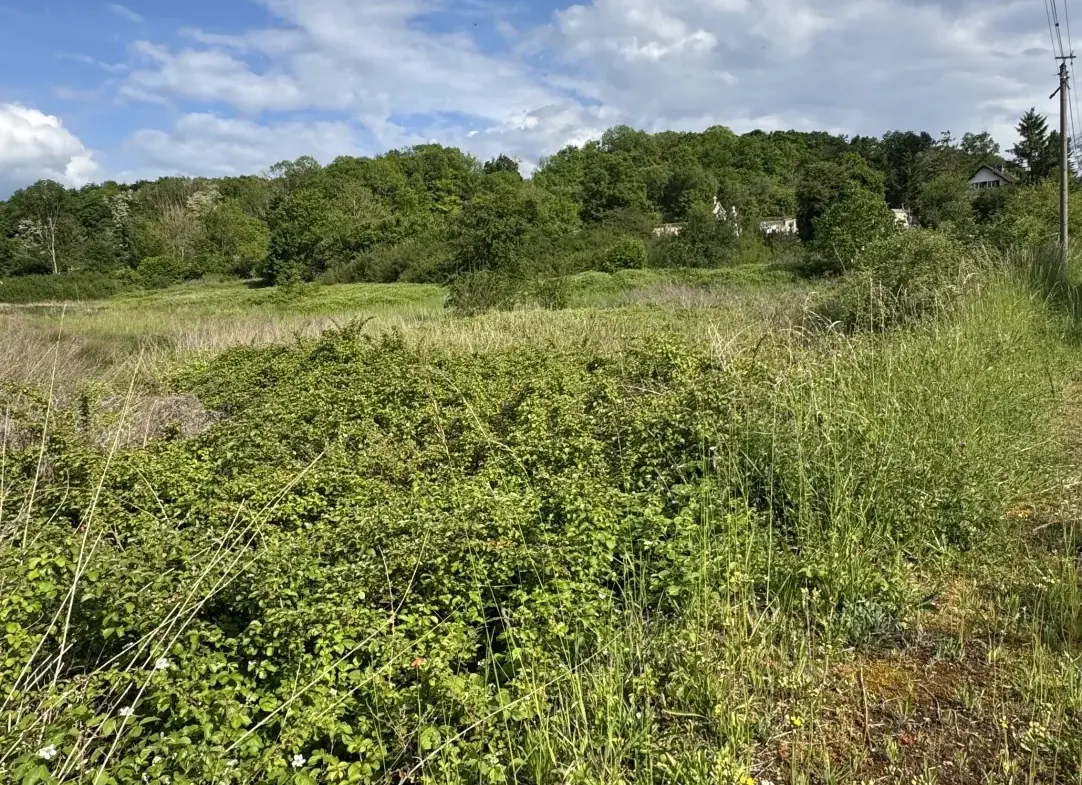 Terrain à bâtir de 8 206 m2 à L’Isle-sur-Serein, idéal pour votre projet de construction 