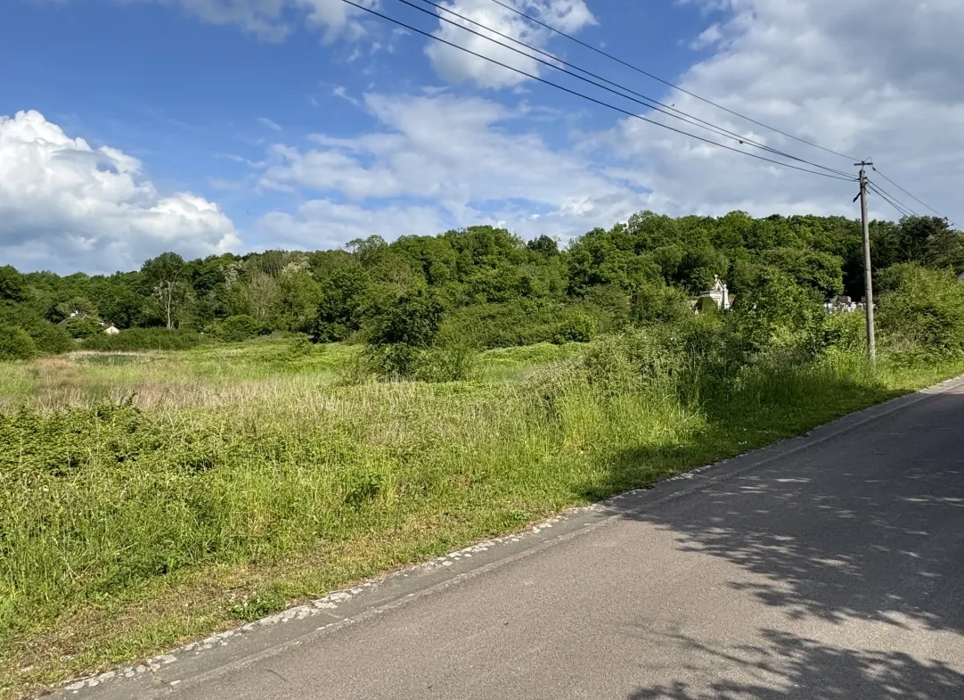 Terrain à bâtir de 8 206 m2 à L’Isle-sur-Serein, idéal pour votre projet de construction 