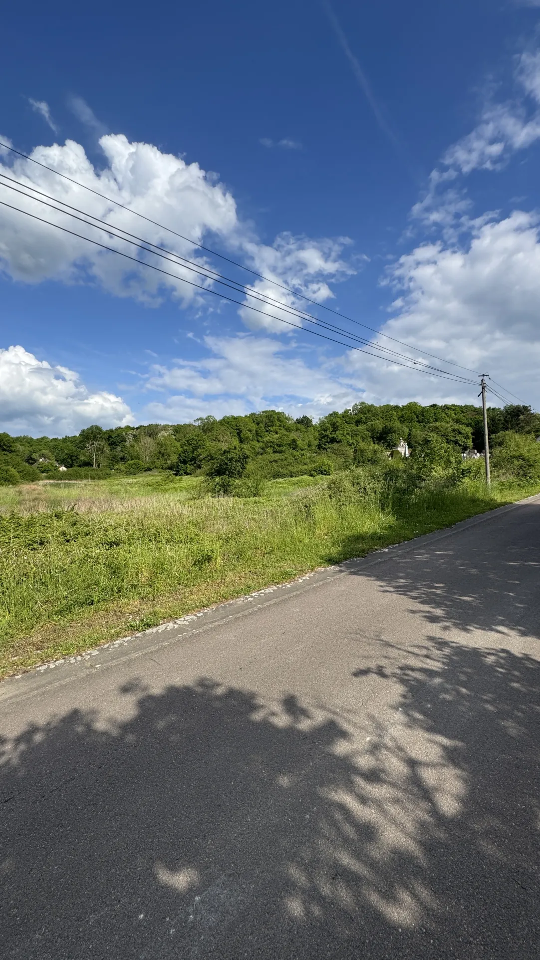 Terrain à bâtir de 8 206 m2 à L’Isle-sur-Serein, idéal pour votre projet de construction 