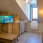 Studio meublé à vendre au cœur de Grenoble avec vue sur la Bastille