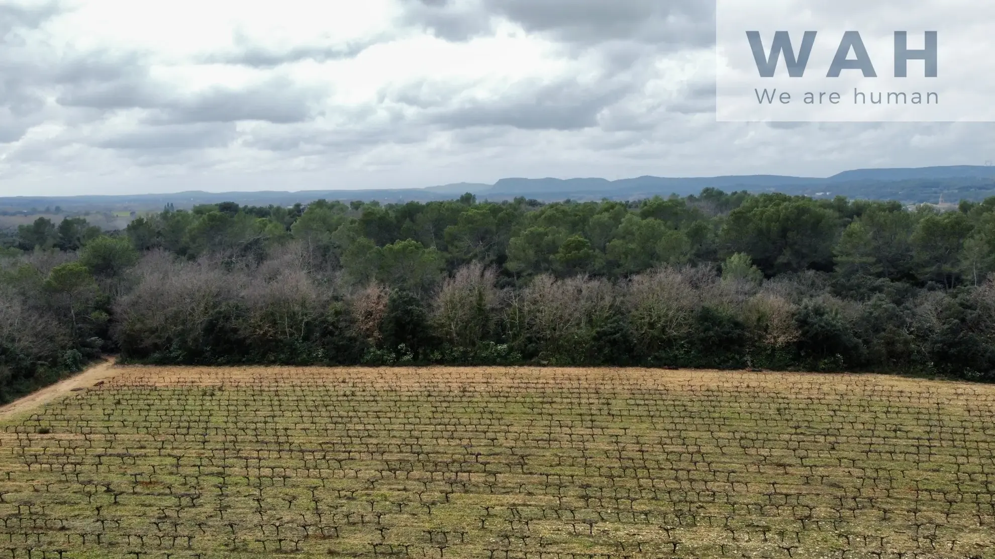 Vente terrain agricole de 117 200 m² à Fontanes, proche Sommieres 