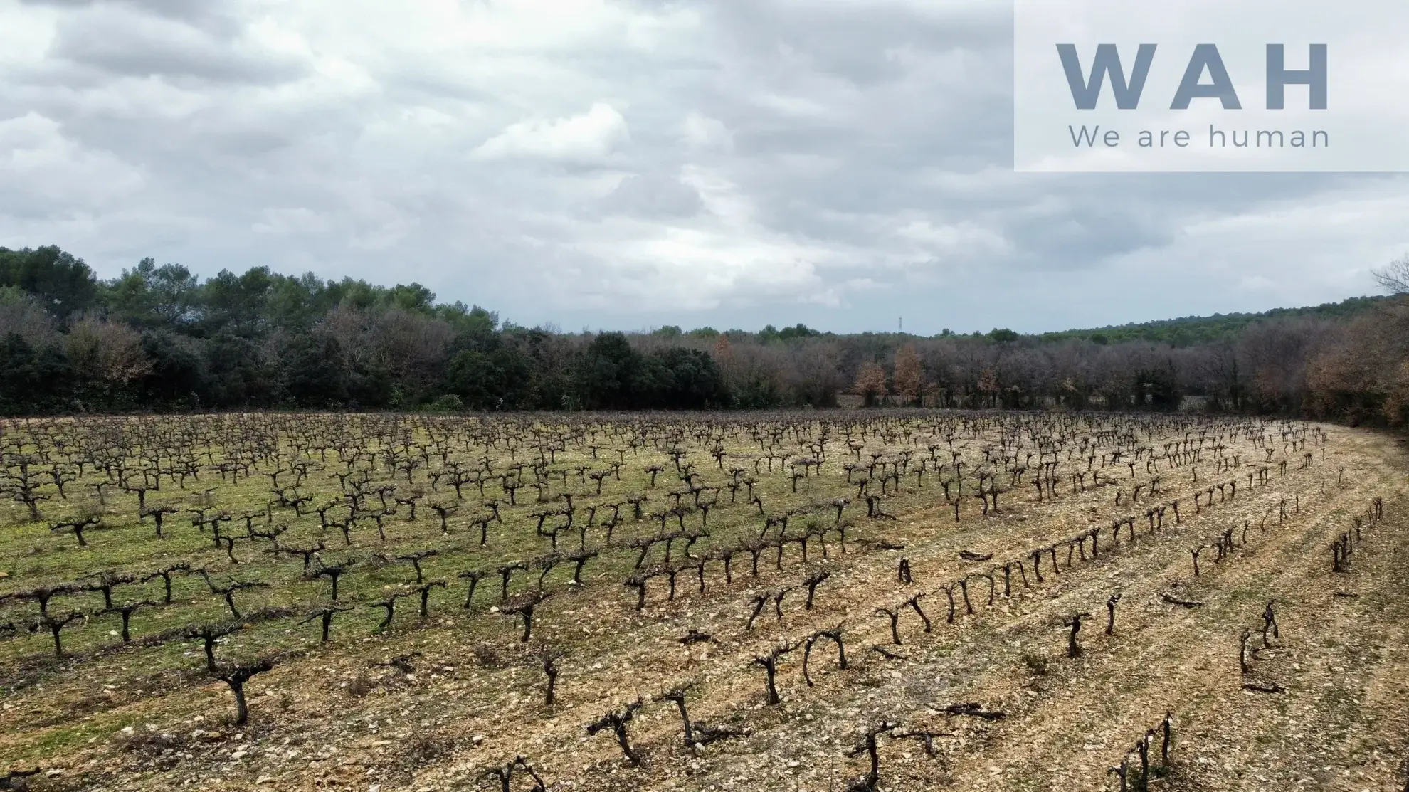 Vente terrain agricole de 117 200 m² à Fontanes, proche Sommieres 