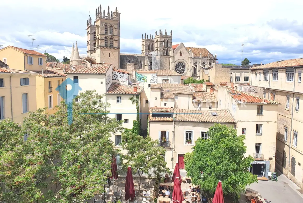 Appartement duplex de 78 m² avec terrasse à Montpellier Ecusson - Convient comme pied-à-terre ou résidence principale 