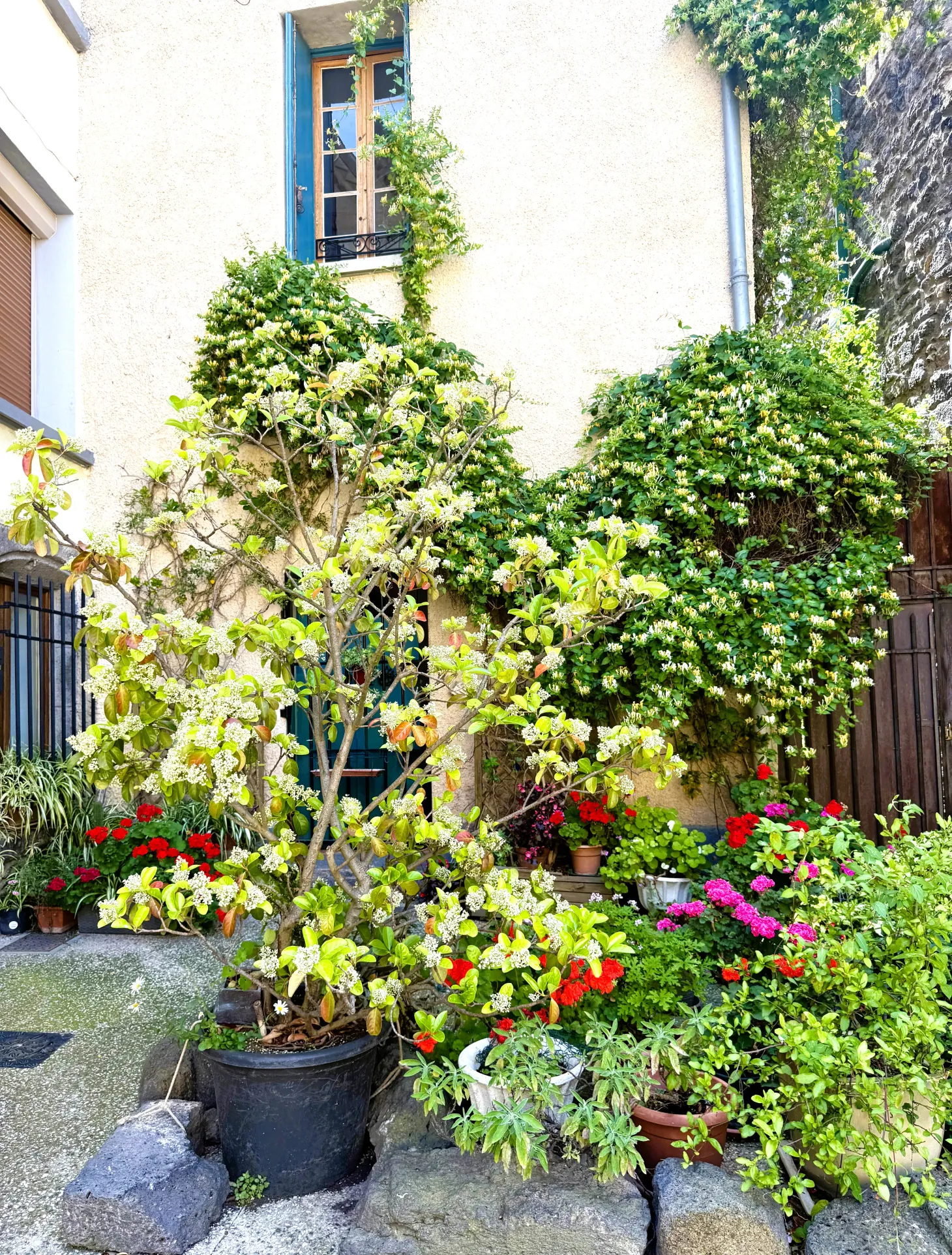 Magnifique maison en angle avec 3 appartements à Agde, quartier historique 