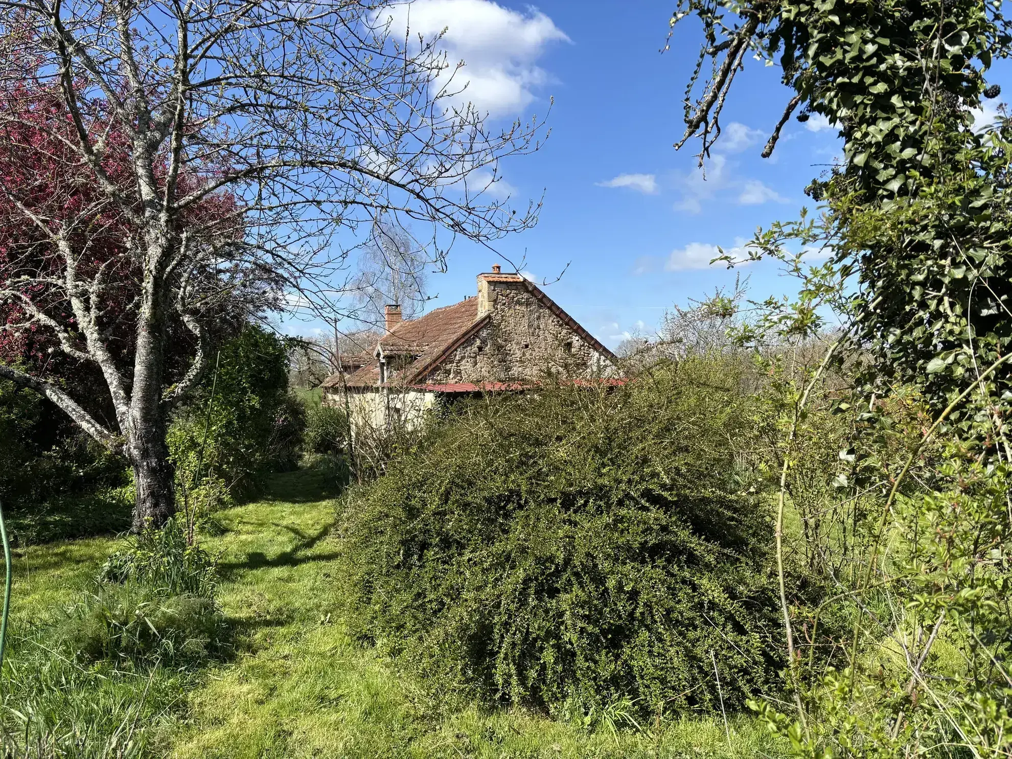Charmante longère à Gipcy avec terrain de 780 m² - idéal vie paisible en campagne 