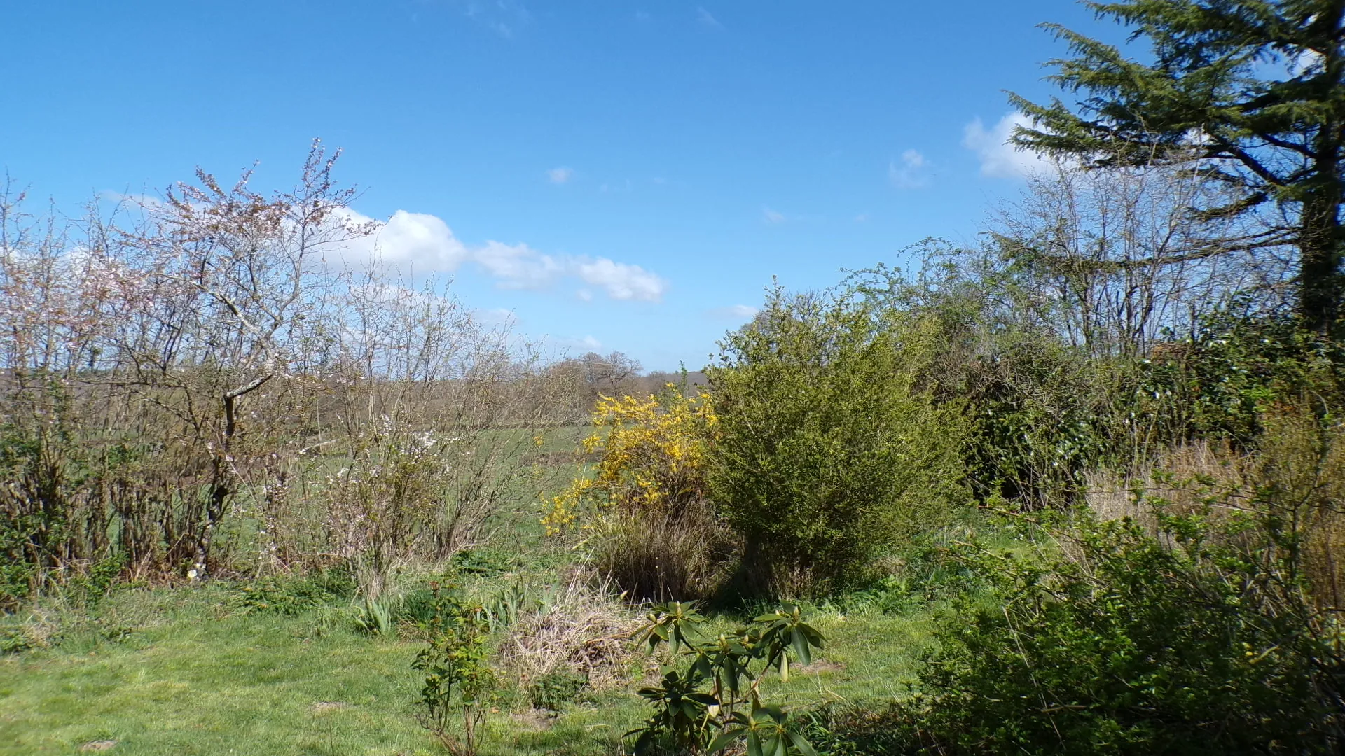 Charmante longère à Gipcy avec terrain de 780 m² - idéal vie paisible en campagne 