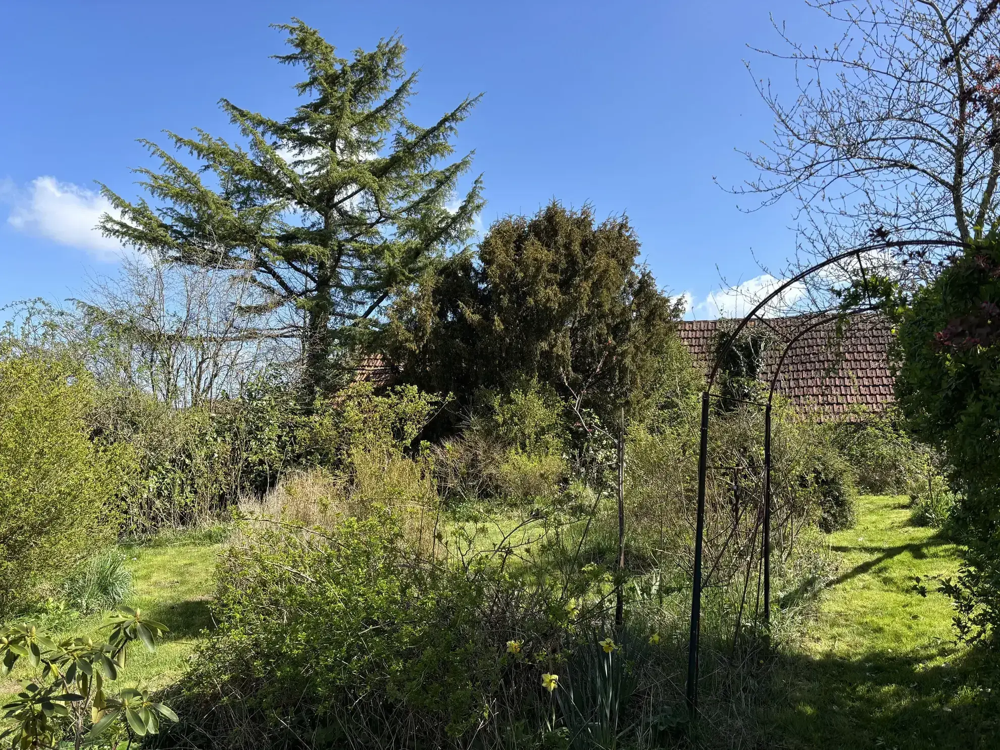 Charmante longère à Gipcy avec terrain de 780 m² - idéal vie paisible en campagne 