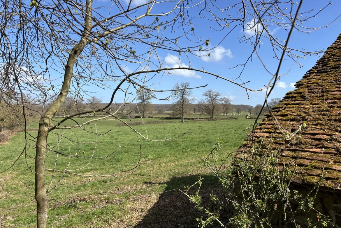Charmante longère à Gipcy avec terrain de 780 m² - idéal vie paisible en campagne 
