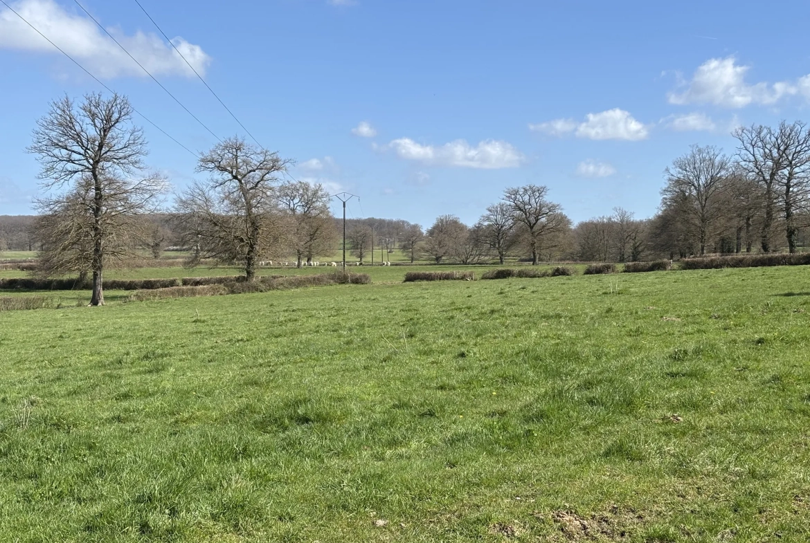 Charmante longère à Gipcy avec terrain de 780 m² - idéal vie paisible en campagne 