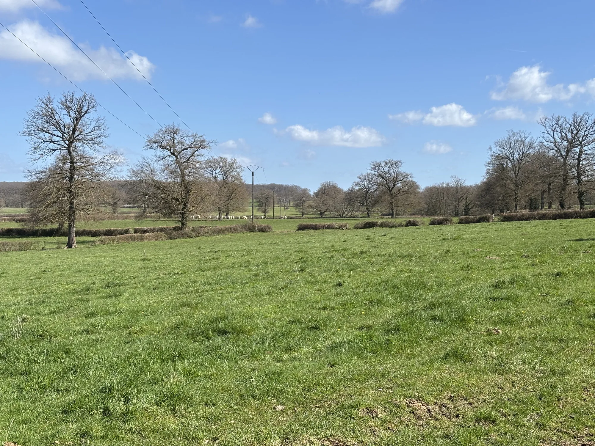 Charmante longère à Gipcy avec terrain de 780 m² - idéal vie paisible en campagne 