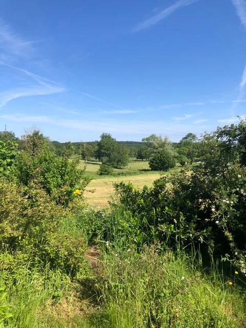 Charmante longère à Gipcy avec terrain de 780 m² - idéal vie paisible en campagne 