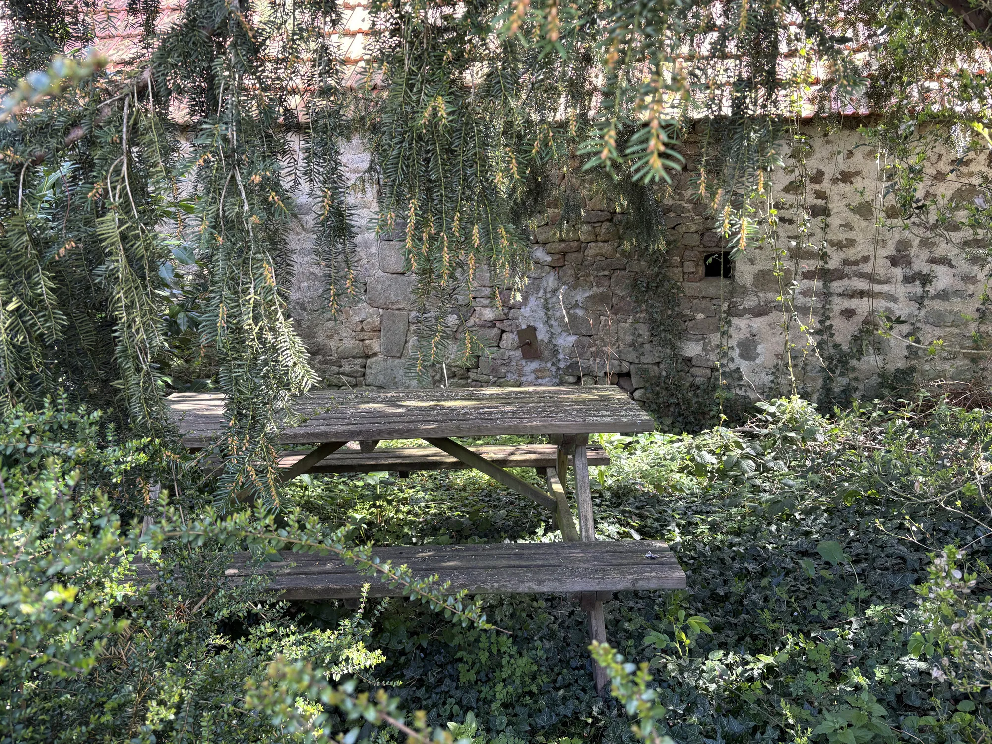Charmante longère à Gipcy avec terrain de 780 m² - idéal vie paisible en campagne 