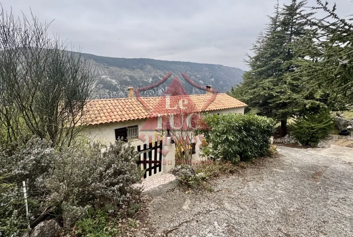 Joli duplex 47 m² avec vue montagne à Gréolières village 