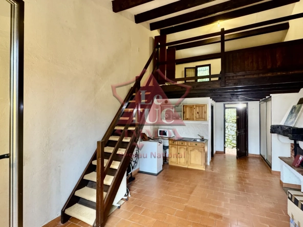 Joli duplex 47 m² avec vue montagne à Gréolières village