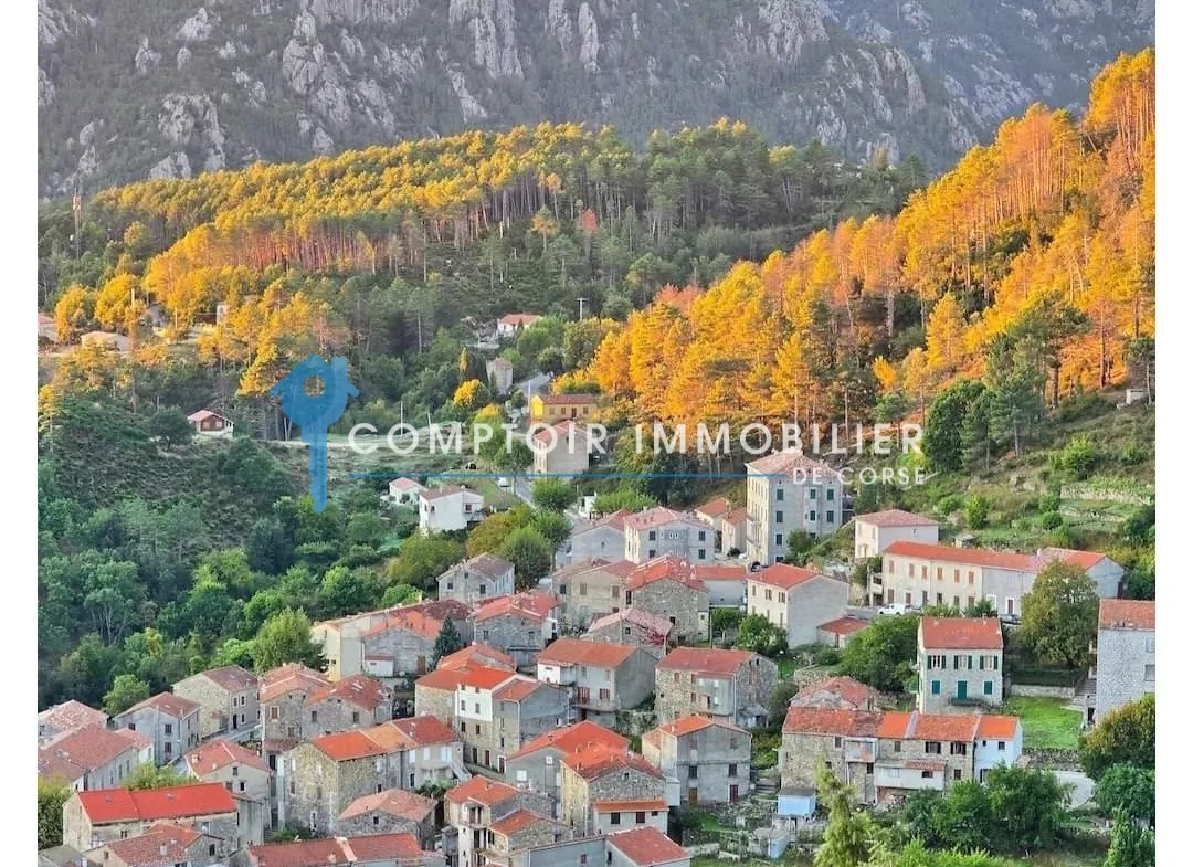Maison de village à Ghisoni de 87 m² avec studio, potentiel et vue montagne 