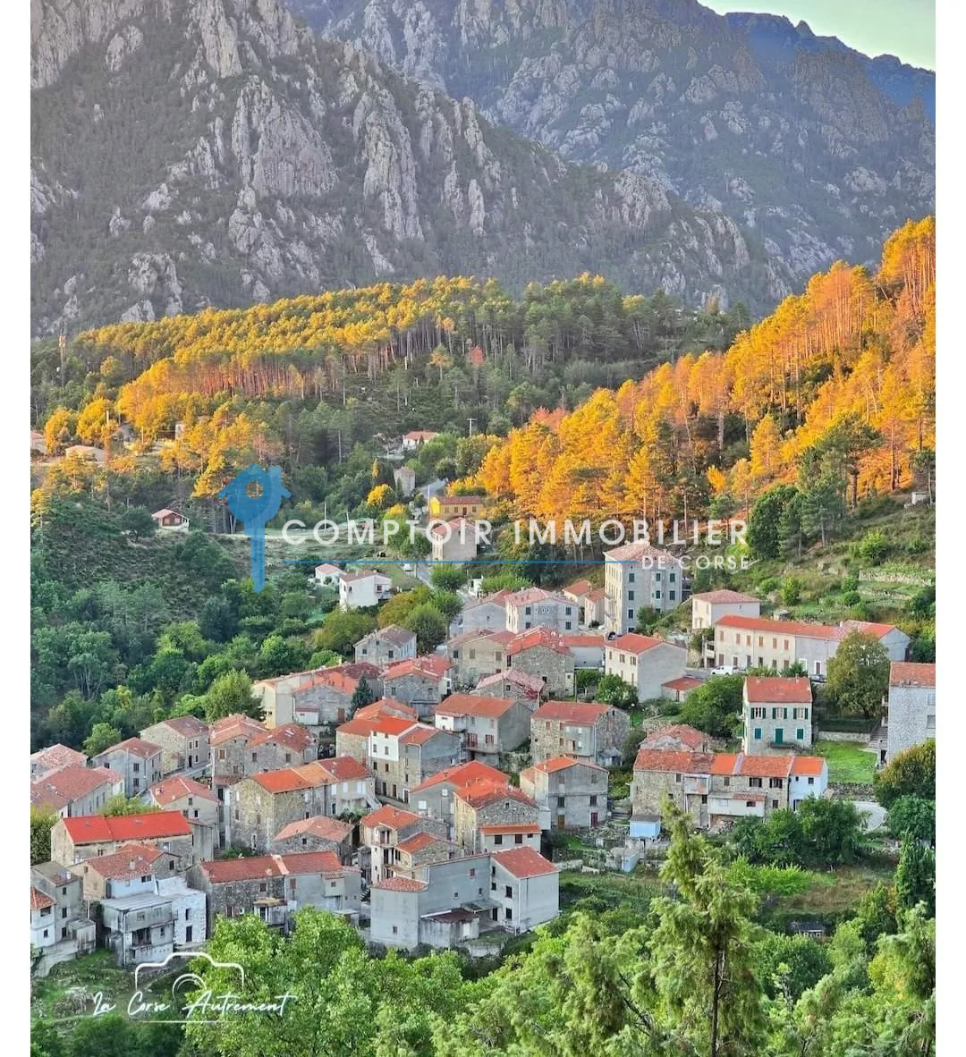 Maison de village à Ghisoni de 87 m² avec studio, potentiel et vue montagne 