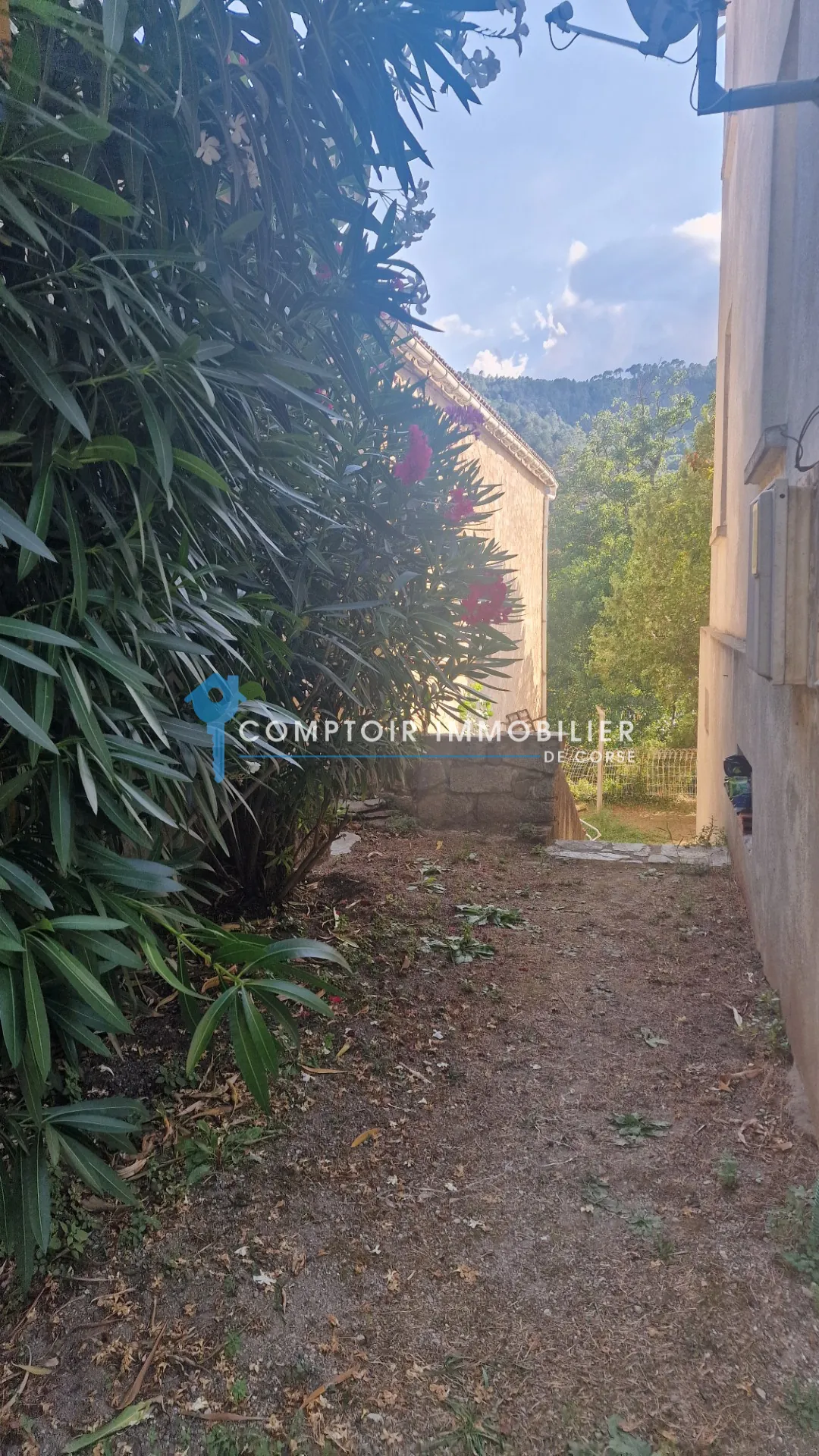 Maison de village à Ghisoni de 87 m² avec studio, potentiel et vue montagne 