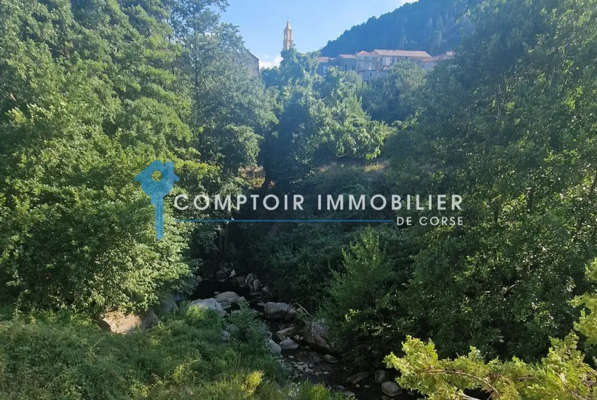 Maison de village à Ghisoni de 87 m² avec studio, potentiel et vue montagne 
