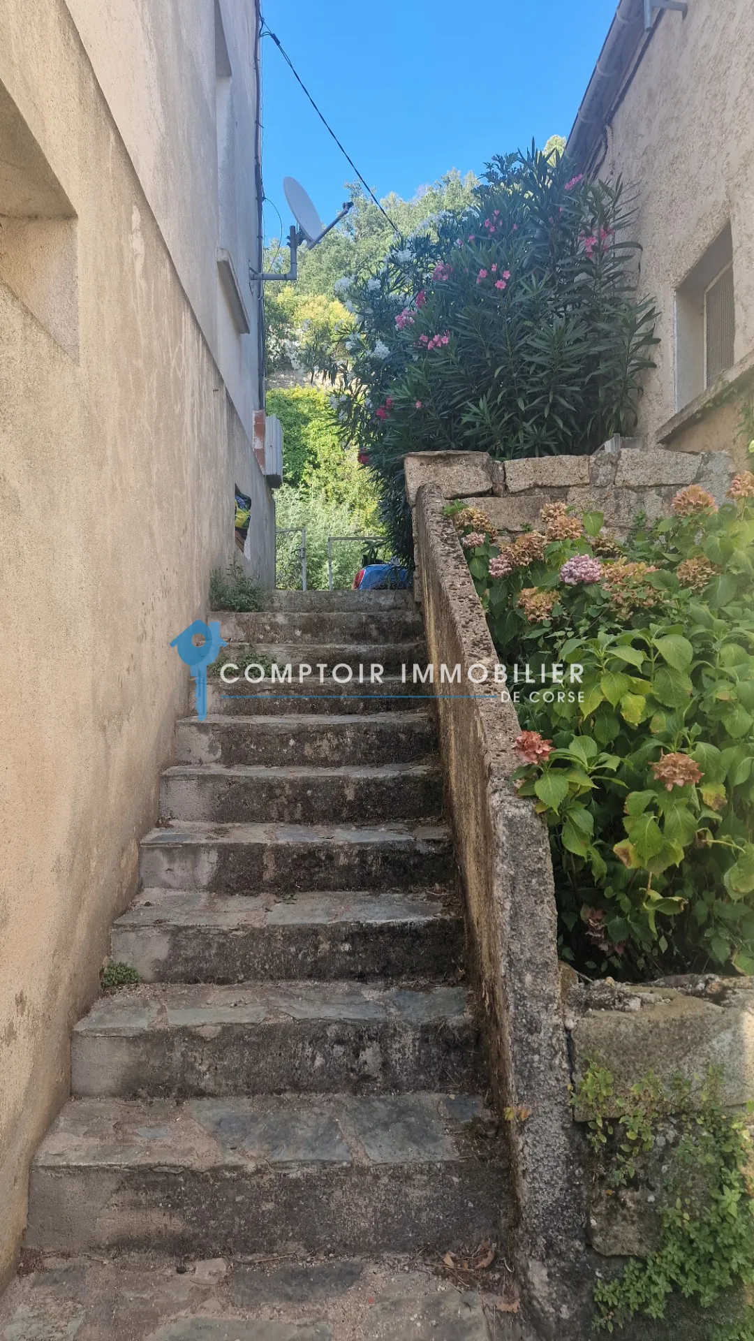 Maison de village à Ghisoni de 87 m² avec studio, potentiel et vue montagne 