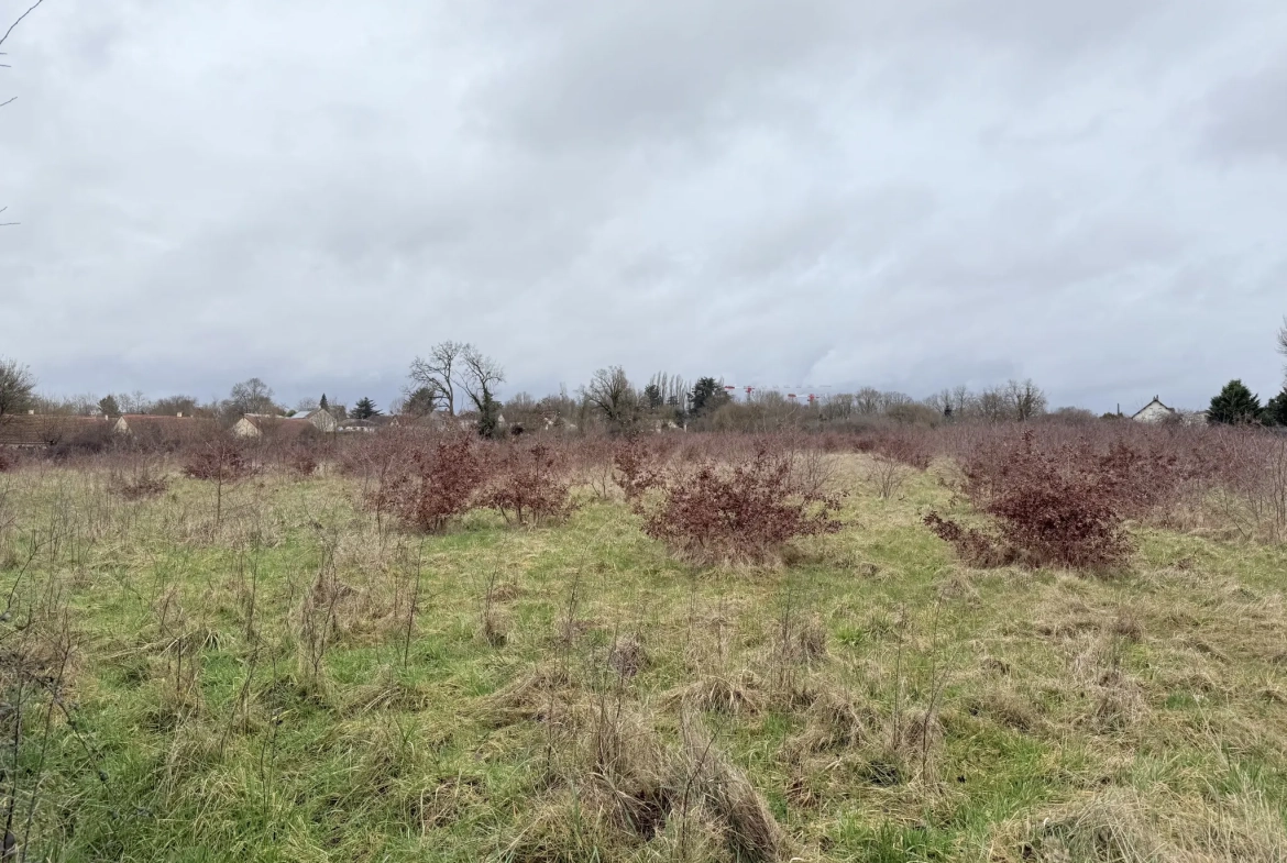 Grand terrain constructible de 18 250 m² à Forges - Zone à urbaniser 