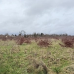 Grand terrain constructible de 18 250 m² à Forges - Zone à urbaniser