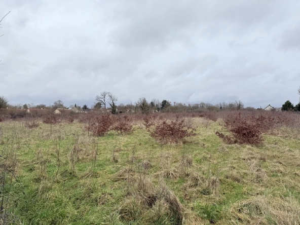 Grand terrain constructible de 18 250 m² à Forges - Zone à urbaniser