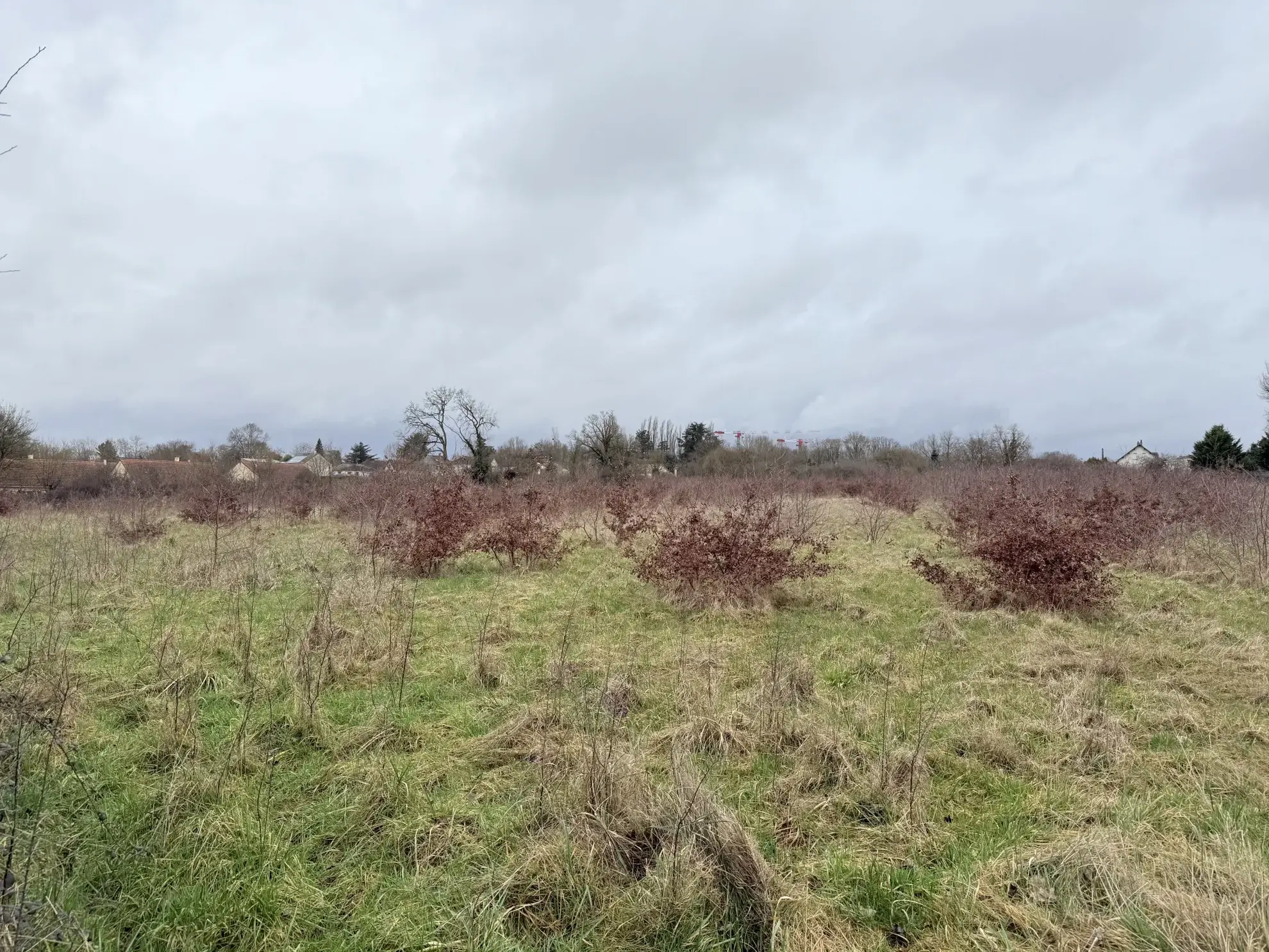 Grand terrain constructible de 18 250 m² à Forges - Zone à urbaniser 
