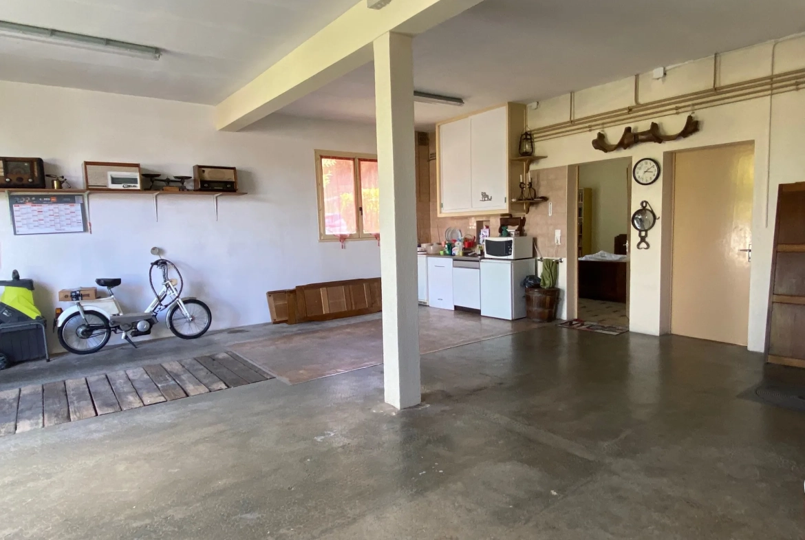 Vente maison à Fumel avec deux habitations, grand terrain et double garage 